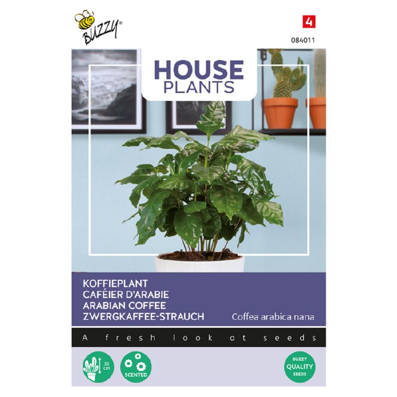 Coffea Arabica, Koffieplant
