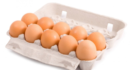 Eieren BIO (10 stuks)