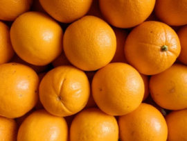 Perssinaasappelen (15 kg, +-88 stuks)