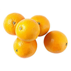 Sinaasappels GROOT – zoete handsinaasappels