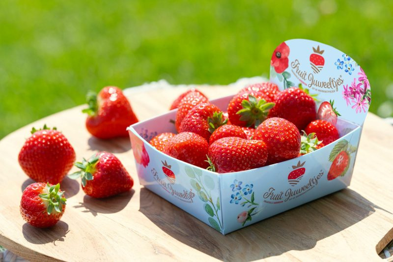 Aardbeien – Hollandse Aardbeien 2023 (vanaf 24-3 BESCHIKBAAR!!)