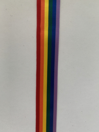 Ripslint regenboog per meter (25mm)