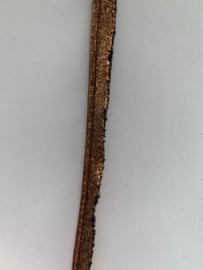 Lurex Paspelband per meter (10mm)