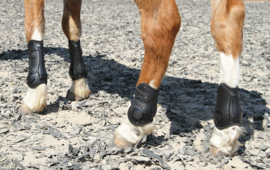 Harry's Horse Peesbeschermers Percy Air