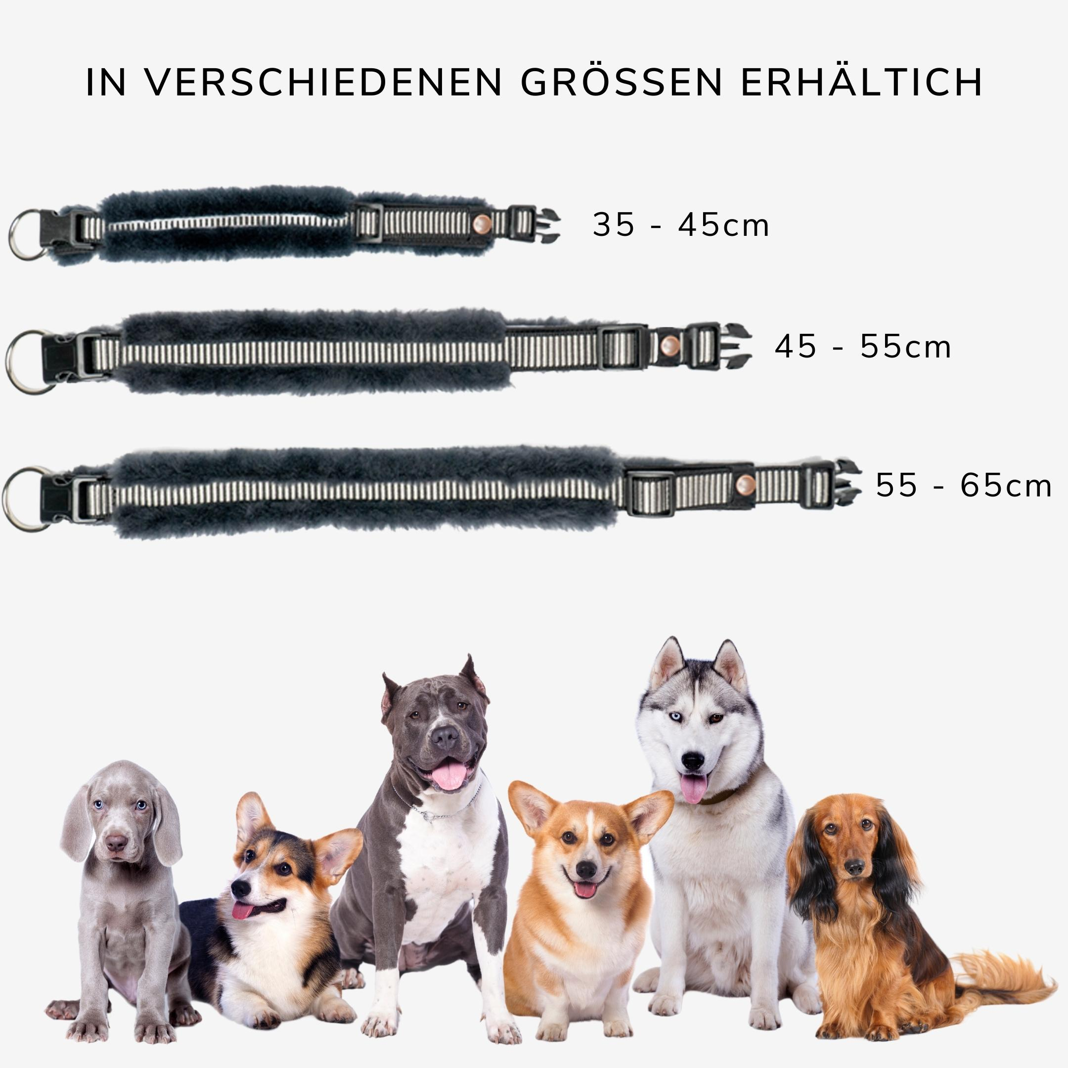 Hondenhalsband - Werner Christ