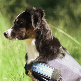 Cooling Dog Coat - Back on Track