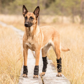 Honden Peesbeschermer - Back on Track 