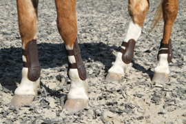 Harry's Horse Peesbeschermers Percy Air