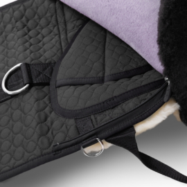 Barebackpad Premium Plus - Werner Christ
