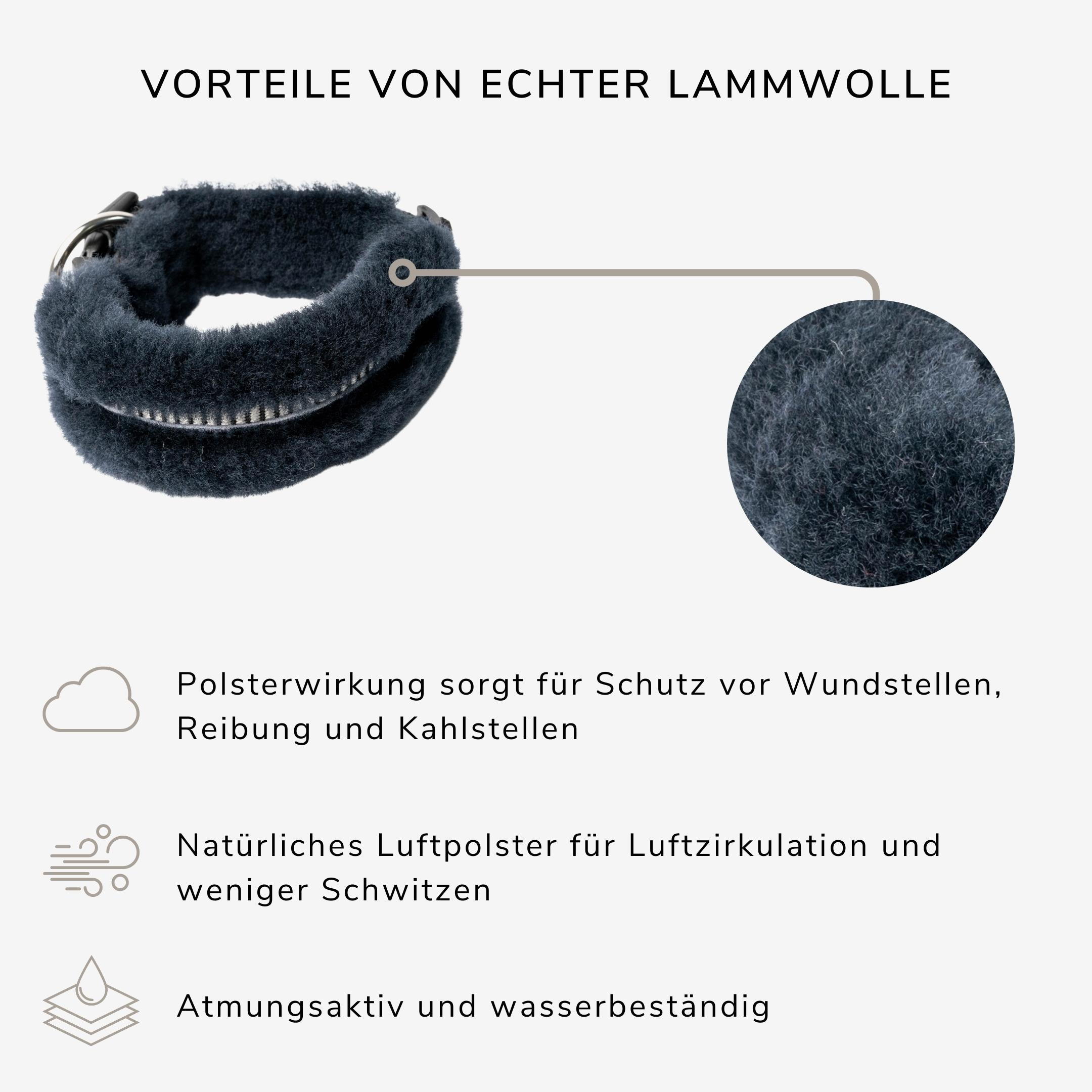 Hondenhalsband - Werner Christ