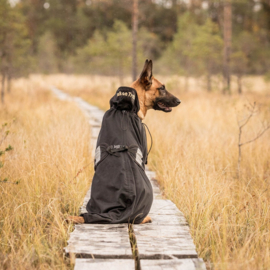 Honden Maasdeken - Back on Track 