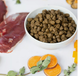 Ydolo Healty & Pure Duck 2,5kg