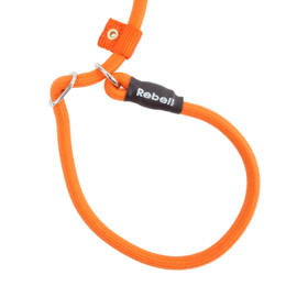 Rebel Pets training Leash Small Taupe