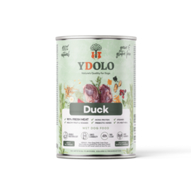 Ydolo natvoer Duck