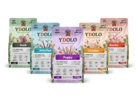 Ydolo