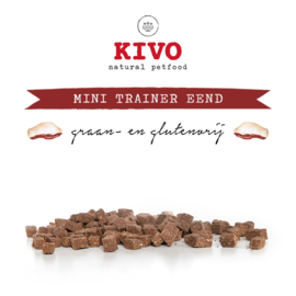 Kivo Mini trainers eend