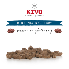 Kivo mini trainers Hert