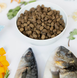 Ydolo Healty & Pure Wild Fisch 10 KG