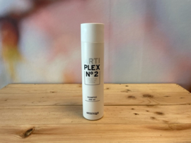 Artiplex Nº2 Shampoo