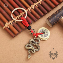 Feng Shui Amulet voor Groei en Welvaart - Slang en Chinese Munten
