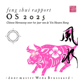 Feng Shui Horoscoop voor 2025 - OS