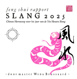 Feng Shui Horoscoop voor 2025 - SLANG
