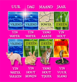 Feng Shui Update 2025 – voor het jaar van de Houten Slang
