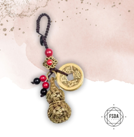 Feng Shui Amulet voor Bescherming - Wu Lou en Chinese Munten
