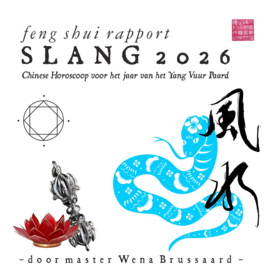 Feng Shui Horoscoop voor 2026 - SLANG