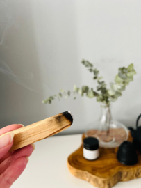 Space Clearing Set met Tibetaanse Bel, Palo Santo en Himalaya Zout