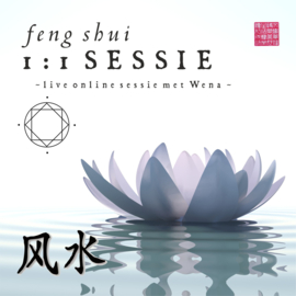 Feng Shui 1:1 Coaching Sessie voor een Huis 1 uur live-online