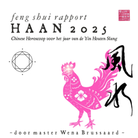 Feng Shui Horoscoop voor 2025 - HAAN