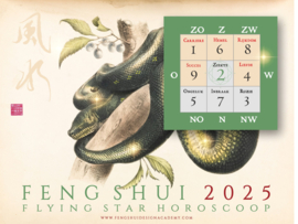 Feng Shui Nieuwjaarslezing 2025 - HOUT SLANG
