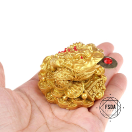 Feng Shui Rijkdom Kikker met Chinese Munt - Goud