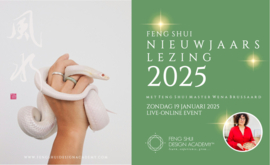 Feng Shui Nieuwjaarslezing 2025 - HOUT SLANG - Opname