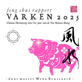 Feng Shui Horoscoop voor 2025 - VARKEN