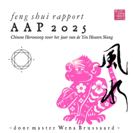 Feng Shui Horoscoop voor 2025 - AAP