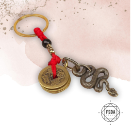 Feng Shui Amulet voor Groei en Welvaart - Slang en Chinese Munten