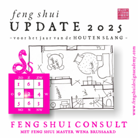 Feng Shui Update 2025 – voor het jaar van de Houten Slang