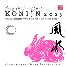 Feng Shui Horoscoop voor 2025 - KONIJN
