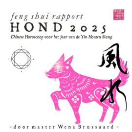 Feng Shui Horoscoop voor 2025 - HOND