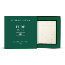 Home Ritual  Wax Melts 910