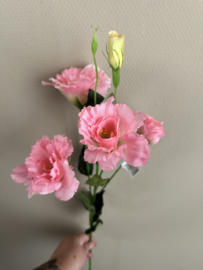 Lisianthus roze 74 cm
