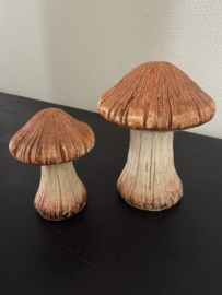 Set paddestoelen reny