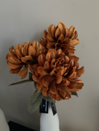Dahlia bruin