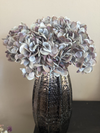 Hortensia grau - blau