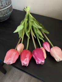 Tulpen mixed fuchsia 47 cm 7 st.