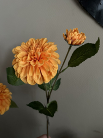 Dahlia orange 60 cm