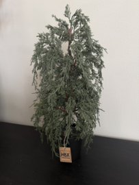 Conifer tree  50 Cm  kunst