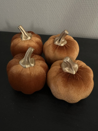 Pompoenen